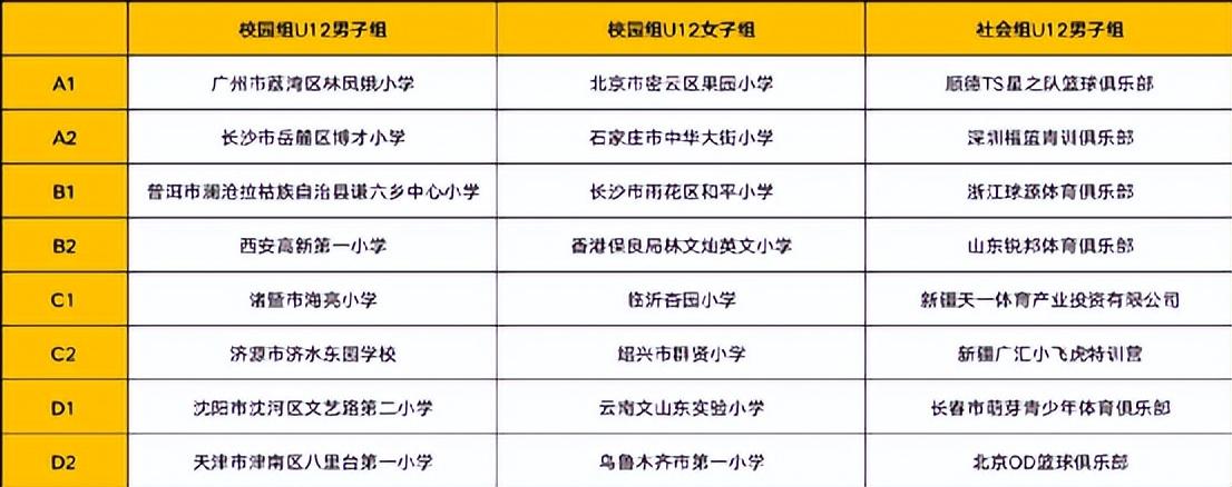 中国中学篮球队_国中学弟篮球_海亮外国语中学篮球队拿过冠军吗